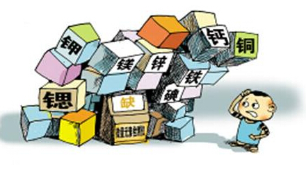 全自動微量元素分析儀調查這些兒童要注意補鋅