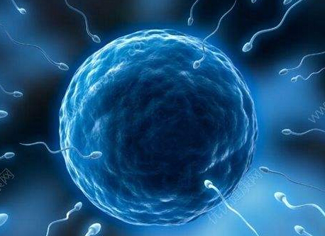 人體微量元素檢測儀分析精子中的主要微量元素 經常的鍛煉身體,能夠提高精子的質量