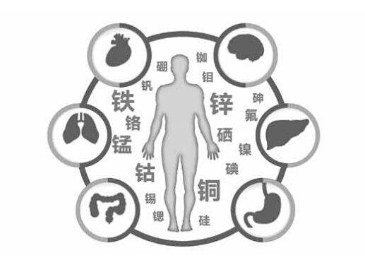 人體微量元素檢測儀檢測沒有某種元素就不存在機體 人體微量元素檢測儀檢測沒有某種元素就不存在機體