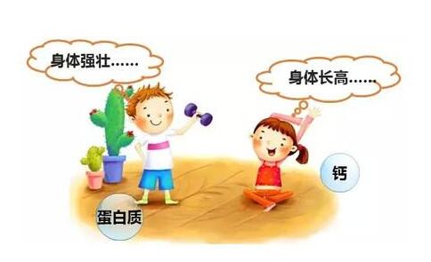 兒童微量元素分析儀兒童成長發育必需的九種營養 兒童微量元素分析儀兒童成長發育必需的九種營養