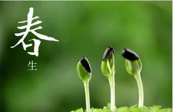 微量元素檢測儀春季養生哪些食物裏富含微量元素多 微量元素檢測儀春季養生哪些食物裏富含微量元素多