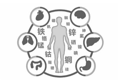 兒童微量元素檢測儀臨床檢測發現兒童缺鋅會影響到身高 兒童微量元素檢測儀臨床檢測發現兒童缺鋅會影響到身高
