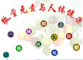 微量元素分析儀物極必反濫補微量與人體組織的構成和生命正常“運轉” 微量元素分析儀物極必反濫補微量與人體組織的構成和生命正常“運轉”