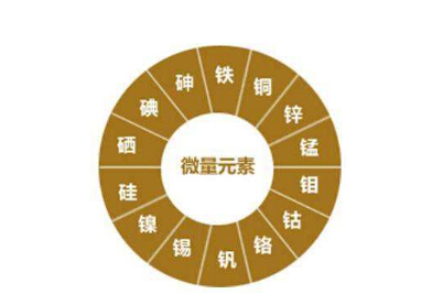 微量元素分析儀淺析人體微量元素檢查所有注意事項閱讀人數999+ 微量元素分析儀淺析人體微量元素檢查所有注意事項閱讀人數999+