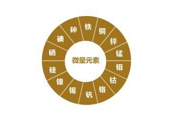 全自動微量元素分析儀專家提示食補日常的生活飲食中應注意微量元素的攝取 全自動微量元素分析儀專家提示食補日常的生活飲食中應注意微量元素的攝取