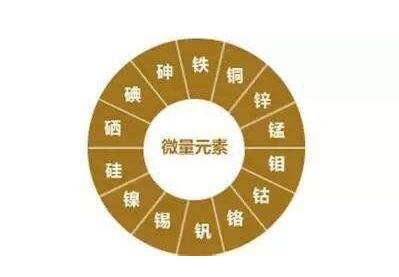 人體微量元素分析儀都說“眼睛是心靈的窗戶”補充微量讓眼睛更明亮 人體微量元素分析儀都說“眼睛是心靈的窗戶”補充微量讓眼睛更明亮
