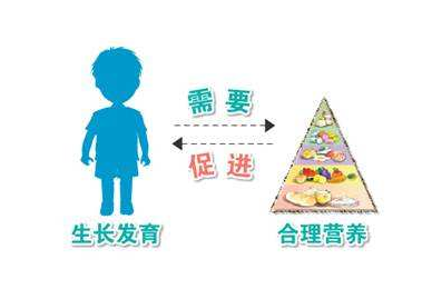 全自動微量元素分析儀廠家兒童生長發育期間要攝取足量的微量元素 全自動微量元素分析儀廠家兒童生長發育期間要攝取足量的微量元素