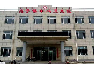 微量元素分析儀被阜新蒙古族自治縣泡子鎮中心衛生院采購 微量元素分析儀被阜新蒙古族自治縣泡子鎮中心衛生院采購