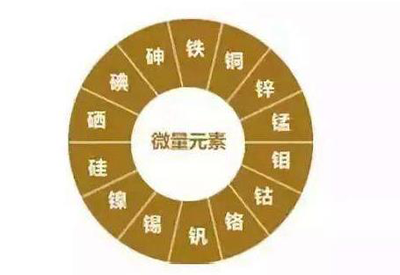 血液微量元素分析儀-看看醫生講解人體吸收微量元素的原理 血液微量元素分析儀-看看醫生講解人體吸收微量元素的原理