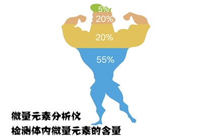 微量元素分析儀用於檢測兒童體內微量元素從中獲取足夠營養元素 微量元素分析儀用於檢測兒童體內微量元素從中獲取足夠營養元素