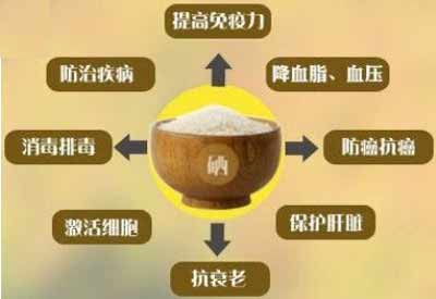 GK全自動微量元素分析儀有哪些品牌警惕身體缺少這種微量元素多種疾病找上你 GK全自動微量元素分析儀