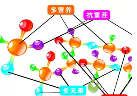 檢測人體的微量元素分析儀儀價格到底是多少