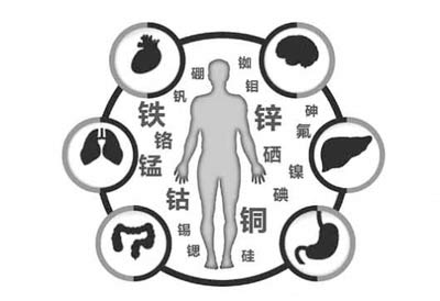 男人用微量元素測定儀價格大可不必計較微量元素鋅被稱為“夫妻和諧素”