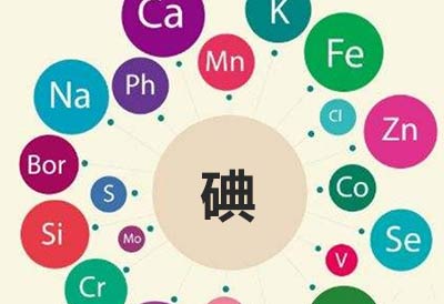 嬰兒體檢 微量元素檢測儀發現奶粉中缺少這種微量元素將對寶寶造成不利影響