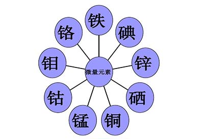 醫用微量元素測試儀哪個好GK品牌介紹怎麽才能知道寶寶是否缺少微量元素