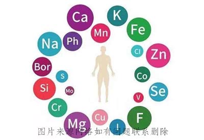 微量元素分析儀品牌推薦人體在攝取中食物中微量元素其中它的作用是什麽？