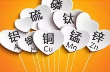身體長白斑,微量元素檢測儀品牌告訴你是缺乏什麽 身體長白斑,微量元素檢測儀品牌告訴你是缺乏什麽