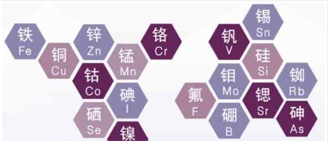 醫用微量元素分析儀 全自動醫用微量元素分析儀廠家