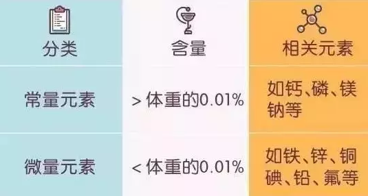 兒童人體微量元素測定儀廠家 全自動兒童微量元素測定儀生產廠家