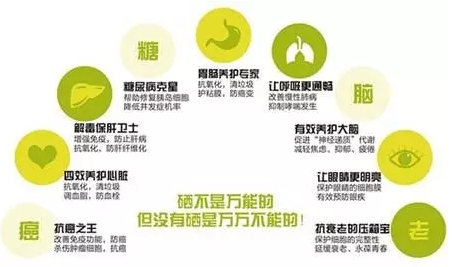 鈣鐵鋅硒檢測儀品牌 【5.28谘詢】鈣鐵鋅硒檢測儀品牌揭秘元素硒對人體健康的重要性