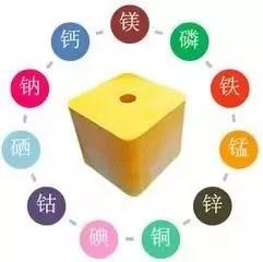 人體微量元素分析儀 人體微量元素分析儀的醫學用途有哪幾個方麵,國康生產廠家幫您解答