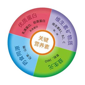 鈣鐵鋅硒檢測儀 【微量資訊】鈣鐵鋅硒檢測儀準確嗎?錳元素對人體健康的重要作用