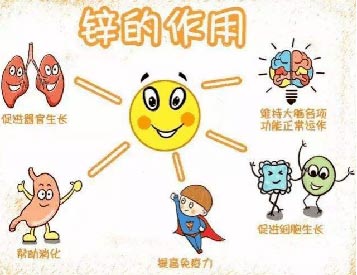 全自動微量元素檢測儀 科普|全自動微量元素檢測儀關於鋅元素的4大功效 多食含鋅食物更健康