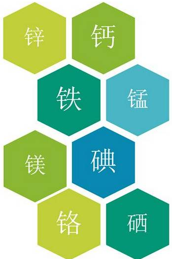 醫用微量元素測定儀 (河南鄭州)醫用微量元素測定儀不可小覷的人體元素含量如何檢測守護健康
