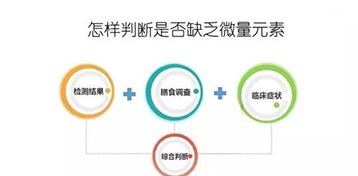 兒童人體微量元素測試儀 兒童人體微量元素測試儀不是育兒小考,沒事驗它幹嘛?檢測結果有什麽作用