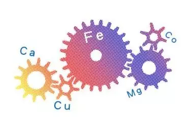 人體微量元素檢測設備 人體微量元素檢測設備到底有用嗎?家長真的了解嗎有必要做檢測嗎?